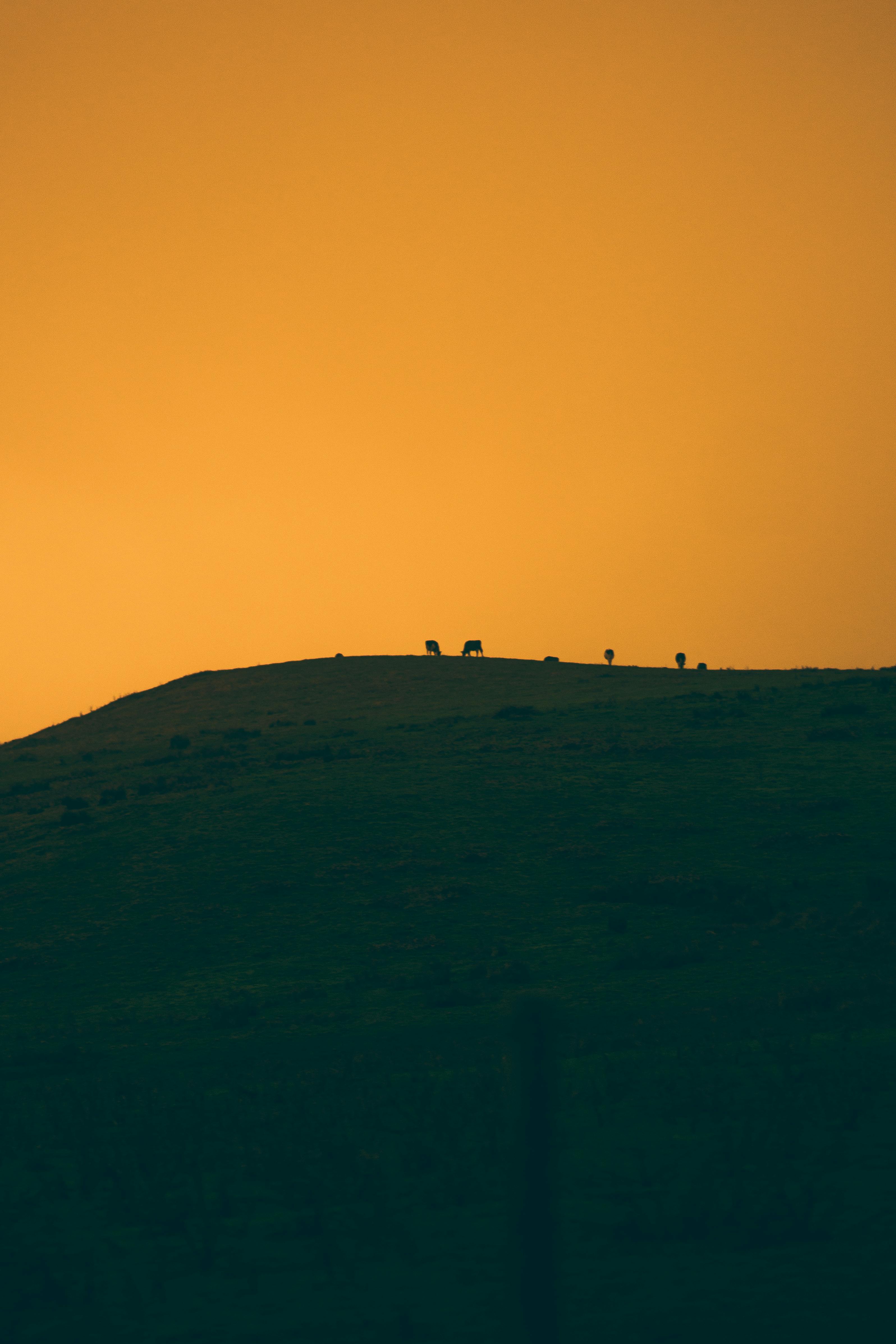 Why Emotional Intelligence Is Probably Not as Important as You Think